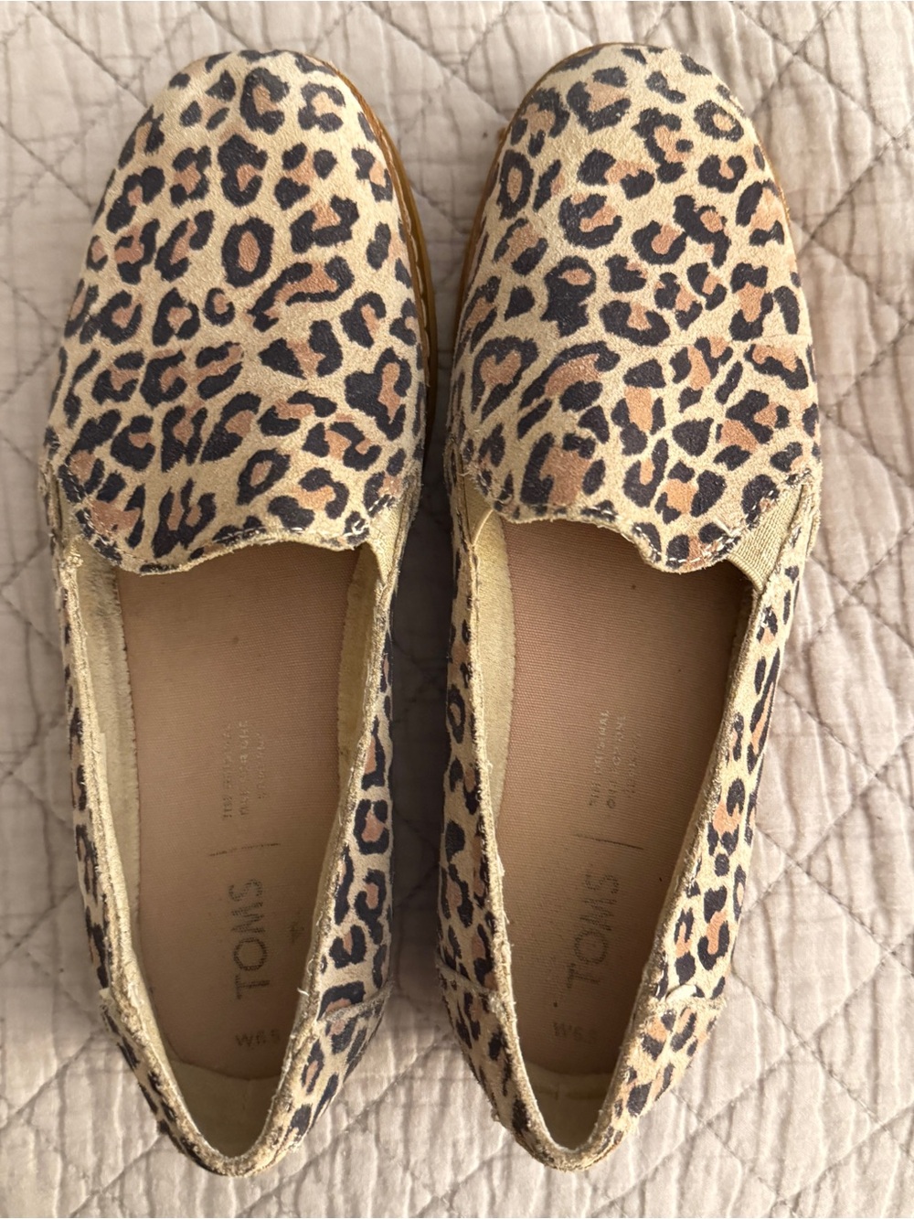 Tom’s leopard shoes